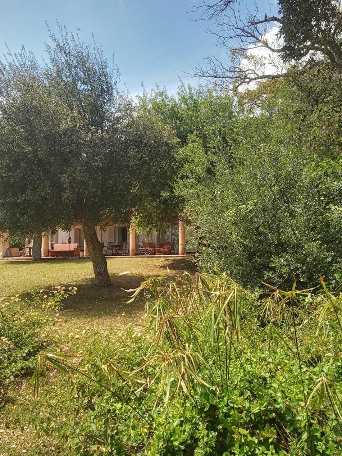 Sotogrande. Estancia Privada En Plena Naturaleza ภายนอก รูปภาพ